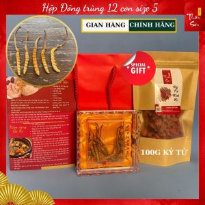 Combo Đông trùng Tây Tạng loại 12 con size 5 và kỷ tử Ninh Hạ - Sản phẩm chất lượng cao