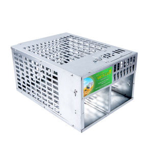 [Original 24 hours delivery] Humane Mouse Trap - Galvanized Steel Double-Door Live Catch Cage for Indoor/Outdoor Use (30x19x13cm)