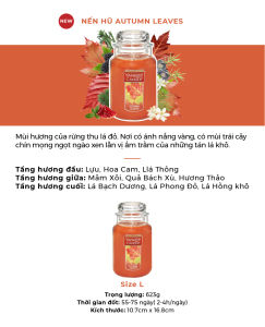 Nến thơm hũ Yankee Candle size L - BST mùi hương mới (623g)