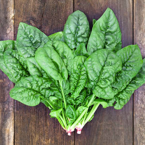 Hạt Giống Cải Bó Xôi (Rau Chân Vịt) Chịu Nhiệt Dễ Trồng