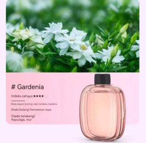 Humidifier Diffuser Aromatherapi H8 Air Purifier Spray Technology - Oil Aromatherapy Pengharum Ruangan