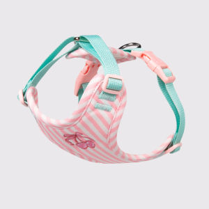 2026 Hot Sale [ Shipped from China ] Pet Vest-Style Harness Small Dog Leash Anti-Escape Cute Dog Rope Walking Chain for Small and Medium-Sized Dogs B3