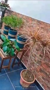 3D Wallpaper Dinding Adhesive Foam Brick Design for Interior and Exterior Decor