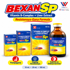 Univet BEXAN SP B COMPLEX 100ML FOR ANIMALS Bexan sp 100 ml Bexan xp 100ml Bexan xp injectable Bexan sp 100ml
