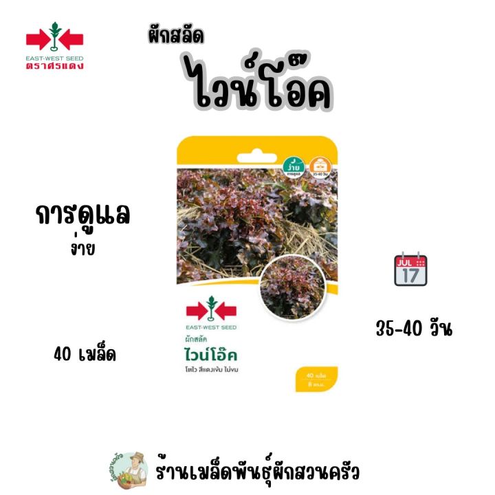 7 อันดับ เมล็ดพันธุ์ผักสวนครัวและผักสลัดยอดนิยม ปี 2025 ปลูกง่าย ได้ผลผลิตดี!
