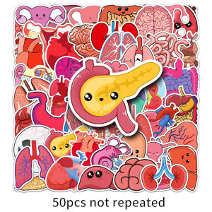 50PCS Cartoon Human Organ Sticker DIY Laptop Diary Bottle Phone Kids Gift DIY Graffiti Waterproof Sticker