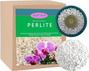 Natural Organic Perlite 5QT for Plants Potting Mix Indoor Outdoor Garden Soil Amendment for Enhanced Drainage Seed Starter Root Growth for Succulents Cactus Orchids Money Trees Vegetables