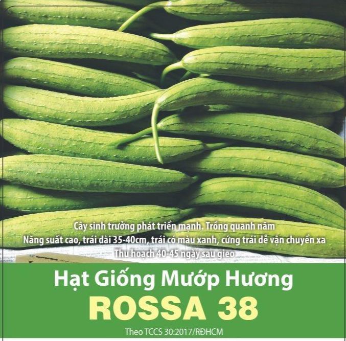 Hạt Giống Mướp Hương F1 Dễ Trồng, Thơm, Ngọt (1gr) | Lazada.vn