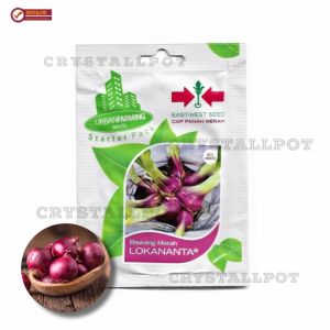 benih bibit bawang merah lokananta cap panah merah - LOKANANTA