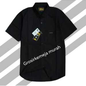 TERMURAH Kemeja Polos Pria lengan pendek /kemeja sage green polosan top men terbaru 2023