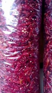 1kg CABE TEJA KERING TANPA TANGKAI KUALITAS SUPER PEDAS