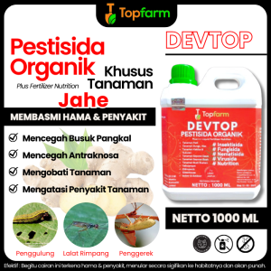 Obat Untuk Tanaman Jahe / Obat Hama Jahe / Obat Hama Pada Daun Jahe Merah / Obat Jamur Pada Tanaman Jahe / Obat Hama Cabe Paling Ampuh / Pestisida Tanaman Jahe / Obat Semprot Daun Jahe