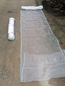 Lưới Cước Trắng Chiều Cao 1m ( 1 Cây Dài Khoảng 45m )