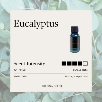 [KIRONA SCENT] Eucalyptus Diffuser Essential Oil (30ml 120ml 250ml) | Alleviate Sinus Respiratory Issues Headache
