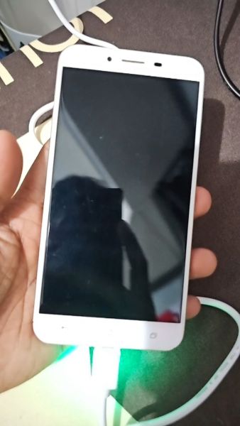 Buyer review video 2