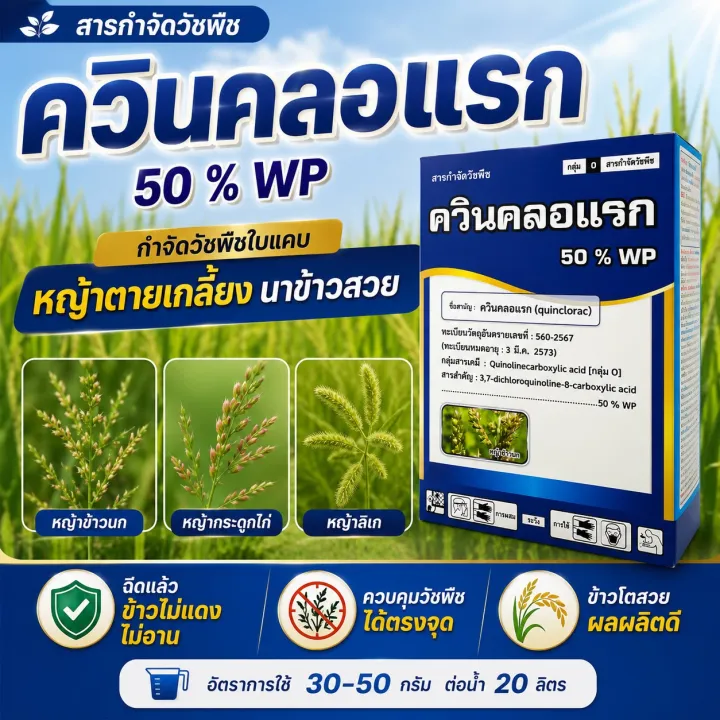 ควินคลอแรก 50% กล่องฟ้า กำจัดหญ้าข้าวนก ลิเก ข้าวไม่โทรม