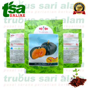 KUSUMA F1 isi 95 biji - Benih bibit sayur sayuran Labu besar jumbo Cap Panah Merah