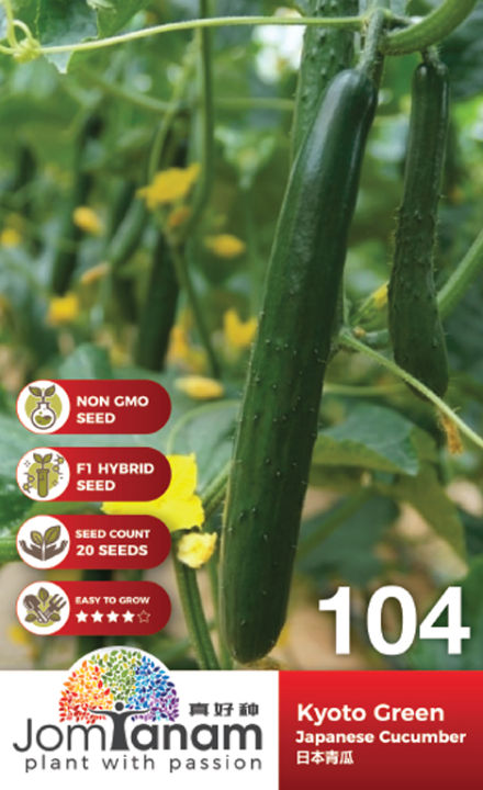 JT104 Japanese Cucumber (Timun) 日本青瓜 Vegetables seed | Lazada
