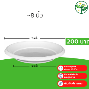 กระถาง กระถางต้นไม้ กระถางขาว เบอร์ 8 7.5 นิ้ว สีขาว 25 ใบ ชิ้น อัน