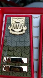 Pangkat PNS/ASN lingkungan dinas KBB 3b lis merah