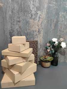 Kardus Uk. 30 x 30 x 10 cm: Kotak Kue Snack & Aksesoris Pizza