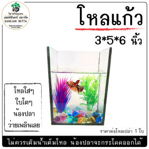 โหล ปลากัด  5*3*6 นิ้ว ขายชุดละ 1 ใบ แถมต้นไม้ปลอม 1 ต้น หินสี 3เม็ด *ไม่รวมปลา ( เสน่ห์จันทร์ ปลากัด )