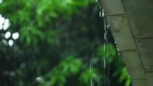 Shoe Dryer 99.9% Sterilization Shoe Dryer 360 ° Temperature Control Timed Disinfection Deodorization Portable Multifunctional Folding Shoe Dryer Artifact