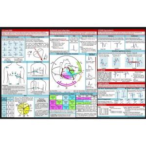 Clinical EKG Interpretation Guide Pocket Size Electrocardiogram Reference Poster for Healthcare Education Nurse Student