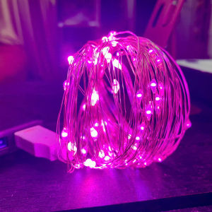 (Dùng USB) Dây Đèn Led Trang Trí Đom Đóm 10 Mét 100 Bóng Chipsbling Fairy Light Không Chớp