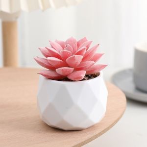 Artificial Succulent Plants Simulation Evergreen Bonsai Fake Green Plant Potted Home Decor