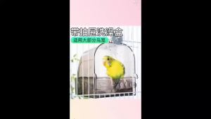 喂食器Parrot automatic feeder Bird food spatter-proof鸟用洗澡盒鹦鹉洗澡神器鹦鹉专用挂式小鸟防水浴盆防溅鸟食盒。。。
