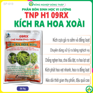 Phân Bón Sinh Học Vi Lượng TNP H1 09RX Chế Phẩm Phối Trộn KÍCH RA HOA XOÀI – Không Cháy Bông Lá Và Trái Non – Không Chai Đầu Đọt Nghẹn Hoa Hạn Chế Ra Lộc (Gói 1kg)
