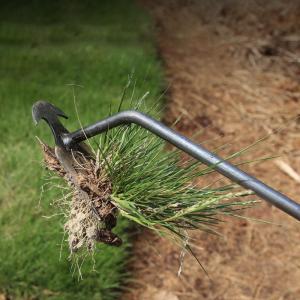 4-ฟันกําจัดวัชพืชขุดผักขุดเครื่องมือหลวมดินรากอุปกรณ์ต้นกล้าแทรนสปริงอุปกรณ์พลั่วคราดขนาดเล็กคู่มือ การ์ด