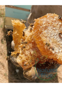 MANUKA HONEY 100+MGO / 5+UMF 250g [Best before 2025/05 麦卢卡蜂蜜 (Monofloral)