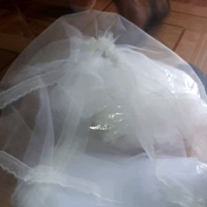1st veil cream for brides
