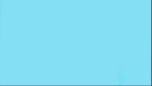 Nutic Milk Chocolate Covered Pecans - 1Lb - Sweet Delights - Indulge in Soft & Creamy Exquisite Candy Clusters & Sweet Snacks Perfect Food Gift for Any Occasion and Gift Basket