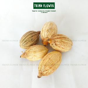 Bunga Biji Kering Biji Palm Per 3 Pcs Hiasan Parcel Hampers Souvenir Rustic Vintage
