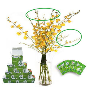 [HCM] Nước cắm Hoa Lan Vũ Nữ Lâu Tàn nhập khẩu Israel dùng trong tip nhựa hoa lan (Combo 100 gói) giúp hoa lan nở đến nụ cuối cùng và hạn chế đen gốc hoa