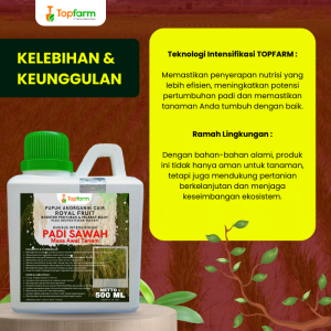 Pupuk Topfarm / Pupuk Padi Sawah Baru Tanam / Pupuk Padi Sawah Terbaik Urea / Pupuk Padi Sawah Organik / Pupuk Padi Sawah Terbagus / Obat Padi Baru Tanam / Obat Hama Padi Baru Tanam / Obat Padi Yang Baru Di Tanam