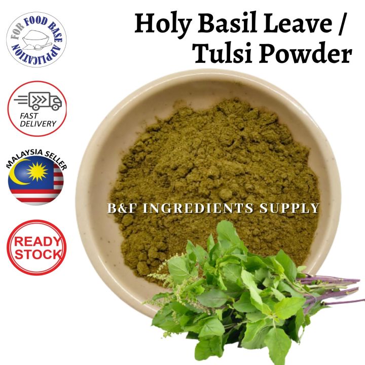 Organic Green Tulsi Tulasi Holy Basil Powder Daun Selasih