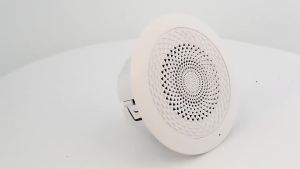 Fashion Home Theater 5 Inch 5w Passive PA Sound System In-ceiling Ceiling Mounted Speaker For School