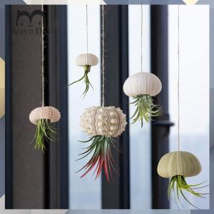 【New Arrival】 Sea Urchin Air Pineapple Decor Art for Living Room Marine Beach Decor Coastal Style Accessories