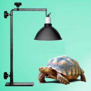 Cây treo Chụp đèn | Chân đứng treo Chóa đèn chính hãng NOMOY