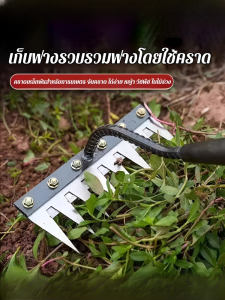 ทนทาน เครื่องกําจัดศัตรูพืช คราดตะปูมัลติฟังก์ชั่น อายุการใช้งานยาวนานขึ้น ดินหลวม คม เครื่องกําจัดศัตรูพืชอเนกประสงค์ ปลั๊กถอดออกได้ ขูดชิ้นใหญ่ คราดตะปูเครื่องมือกําจัดวัชพืช