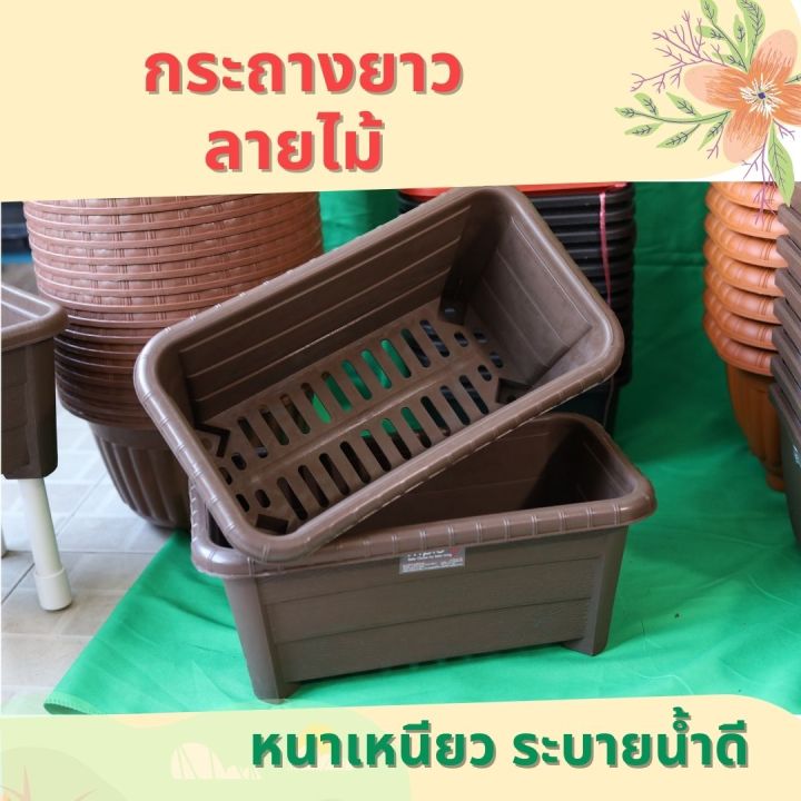 กระถางปลูกผักลายไม้ ทรงยาว ระบายน้ำดี