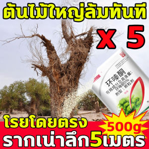 แค่1ซองป่าไผ่ให้เป็นพื้นที่รกร้าง ยาฆ่าต้นไม้ใหญ กำจัดวัชพืชเปิดที่รกราง ยาฆ่าตอไม้ใหญ่ ใช้งานง่าย ผลลัพธ์ที่ยาวนาน ยากำจัดต้นไม้ใหญ่ ไม่ทําร้ายดิน ไม่ทําร้ายต้นผลไม้ สารกำจัดกอไผ่ บอกลาการตัดต้นไม้ด้วยตนเอง ไม่เป็นอันตรายต่อดิน ผงกำจัดต้นไม้