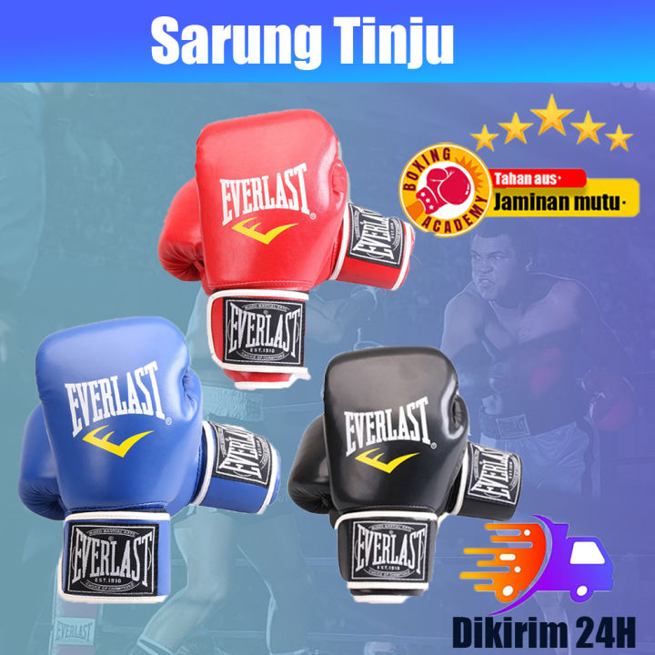 Sarung Tinju Everlast Sarung Boxing Muaythai Everlast Gloves