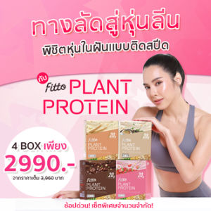 Fitto Plant Protein 2 กล่อง