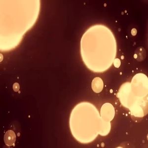 Paket Parfum Islami Wanita Gold Lovely Original 30ml Buy 1 Get 5 Non Alkohol Wangi Tahan Lama