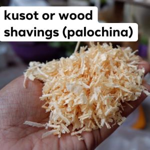 KUSOT or WOODSHAVINGS (Palochina)